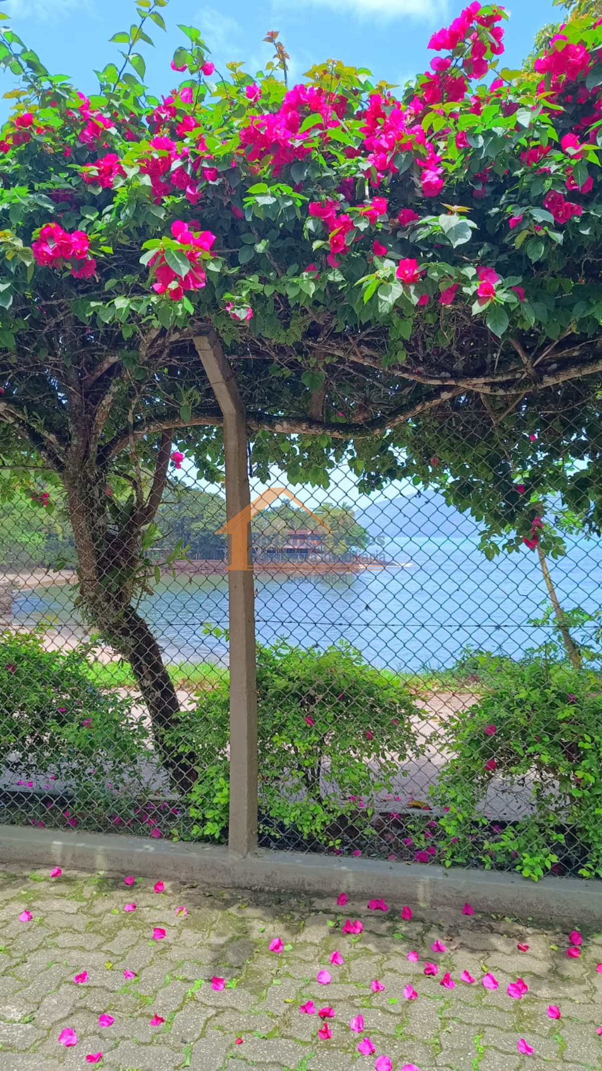 Apartamento, 2 quartos, 100 m² - Foto 26