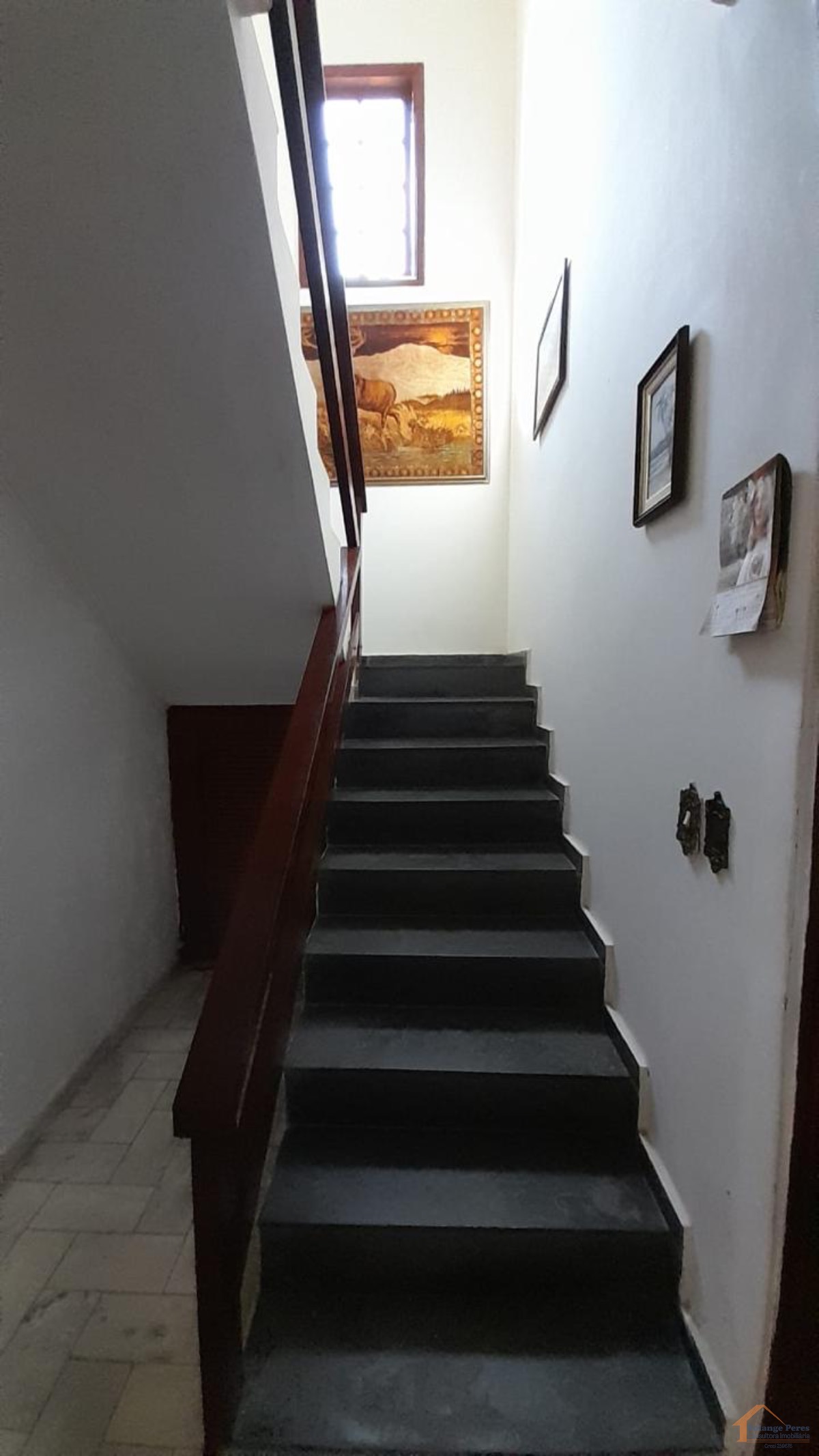 Casa, 5 quartos, 300 m² - Foto 25